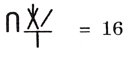 Kiafrakan symbol for number 16